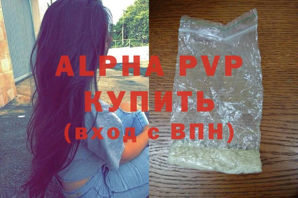spice Каменка