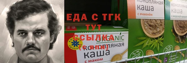 spice Каменка