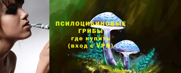 spice Каменка