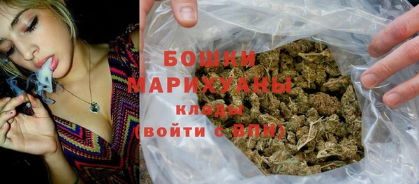 spice Каменка