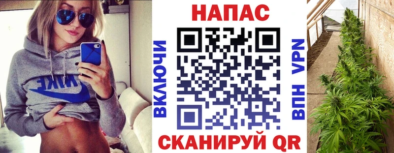 Купить закладки  Михайловка  Конопля план 
